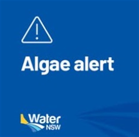 website-water-nsw.jpg