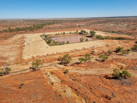 White-Cliffs-Wakefield-Dam-March-2025.jpg